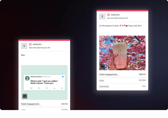 Detailed view of the lead magnet content