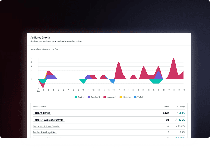 Detailed view of the lead magnet content