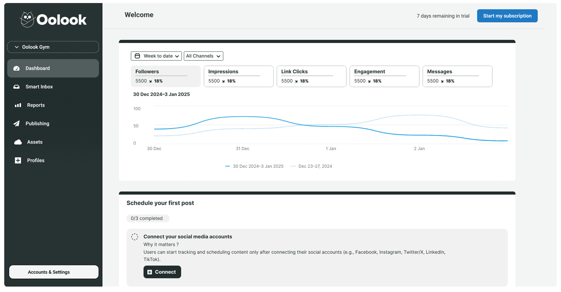 Detailed view of the lead magnet content
