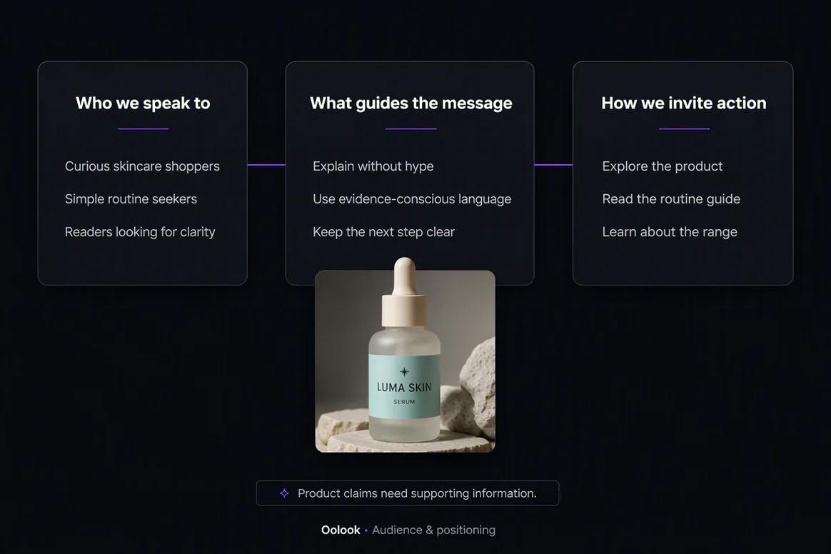 Oolook Brand Kit containing structured business identity and audience information
