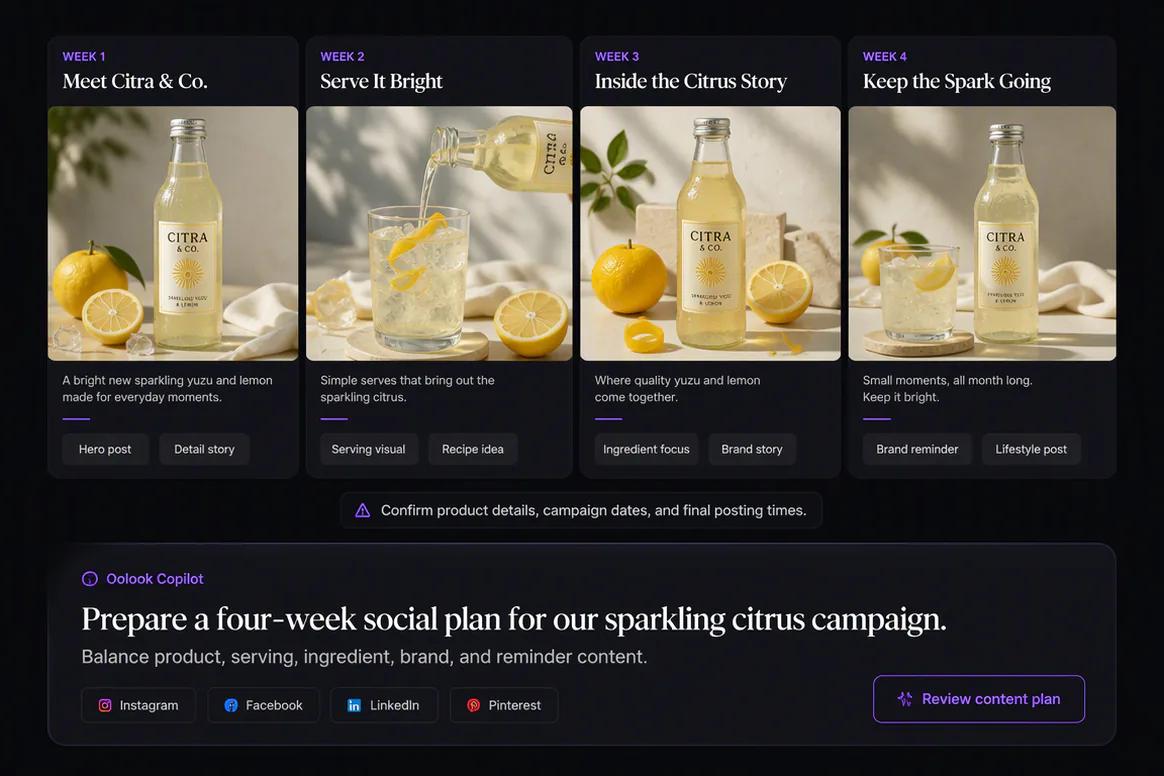 Social media campaign brief prepared with Oolook Copilot