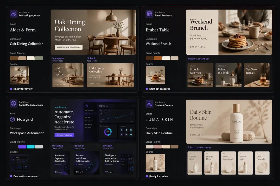 Oolook displaying campaign examples for different marketing audiences