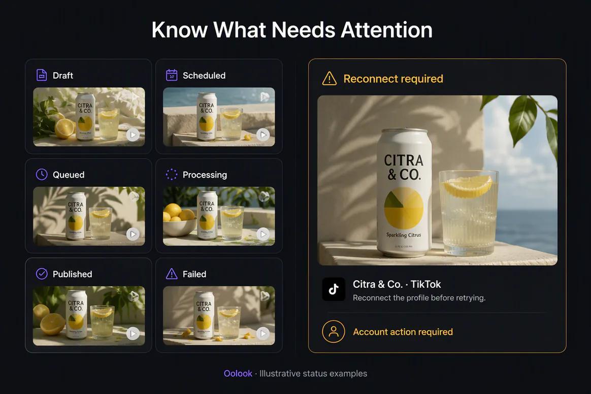 TikTok publishing status and available reporting in Oolook