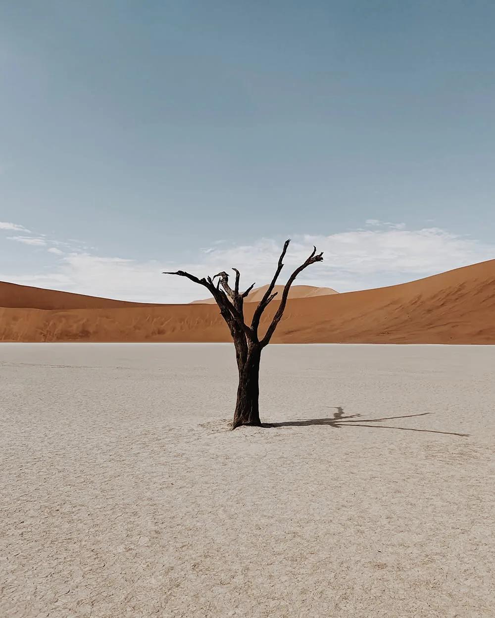 Desert Modern example showing a social media creative