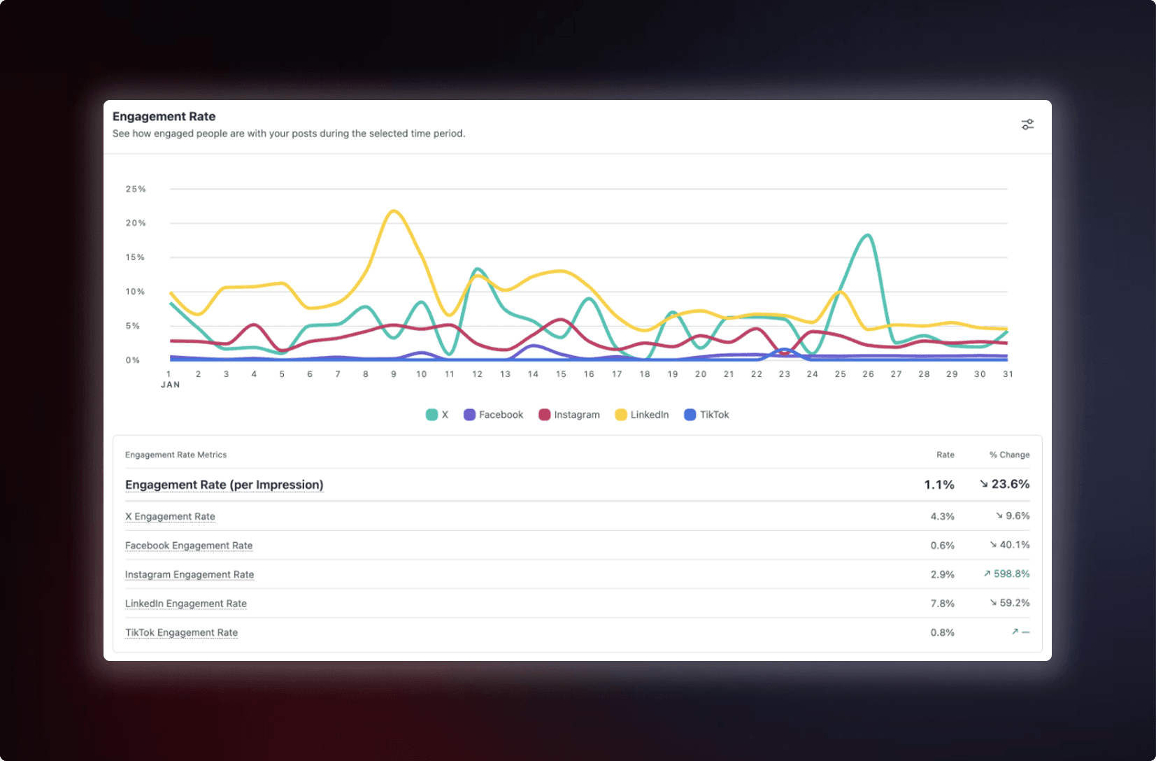 Detailed view of the lead magnet content